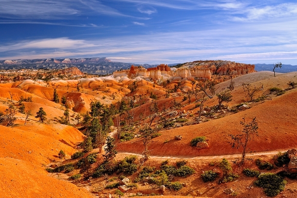 Vibrant desert colors on Queens Garden Trail Bryce Canyon National Park Utah 