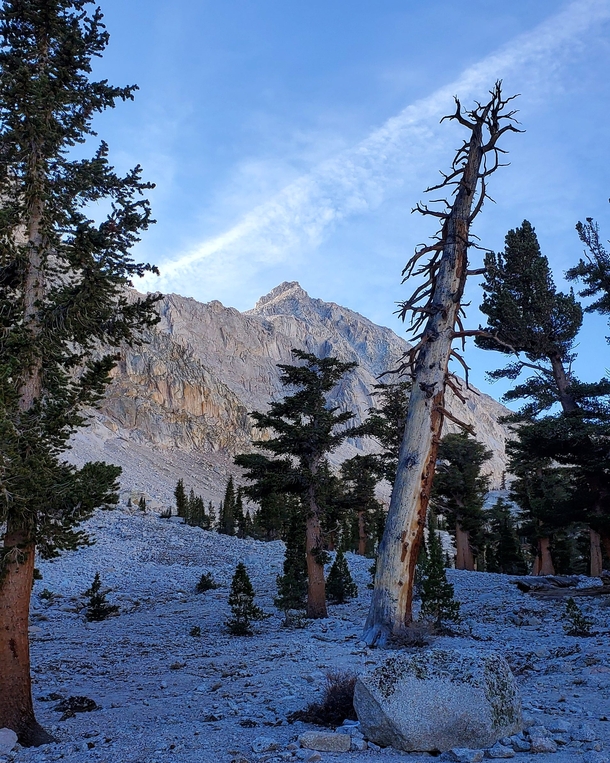View along the Mount Whitney Trail at Inyo National Forest CA USA 
