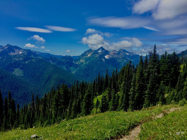 View from ONeil Pass - Olympic National Forest 