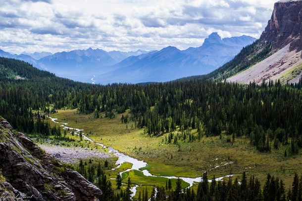 View from Rockbound Lake Banff Ab By Daniel Kent