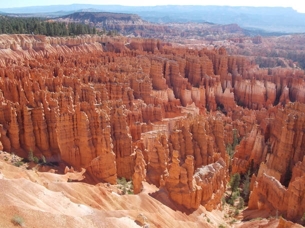 View from the Rim Trail in Bryce Canyon National Park Utah 