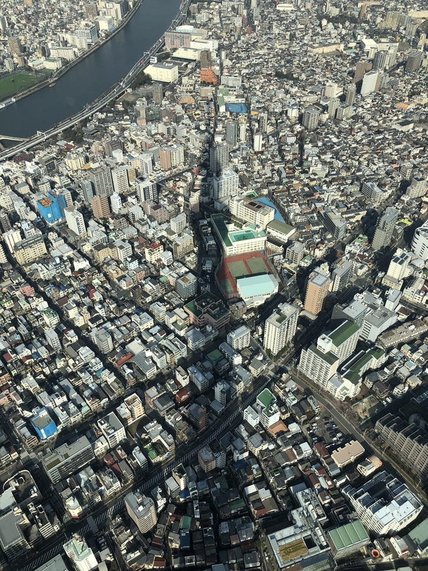 View from the Tokyo Skytree observation deck last January