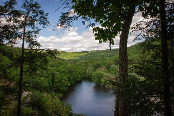 View from the top of my hike today in Lovers Leap State Park Connecticut OC  dylankyekphoto