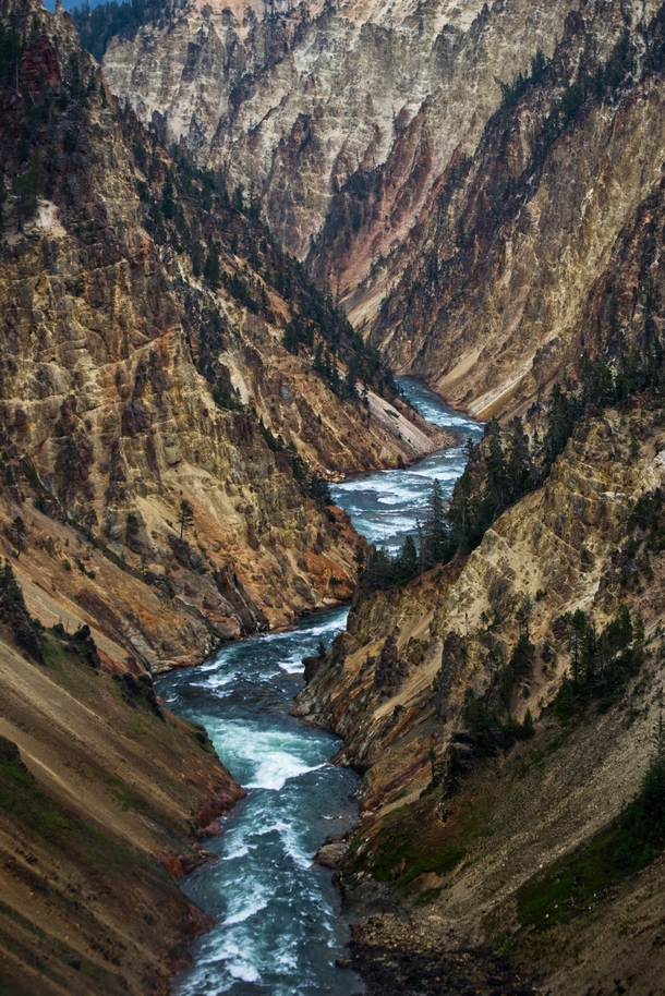 View from the top of the Lower Falls in Yellowstone 