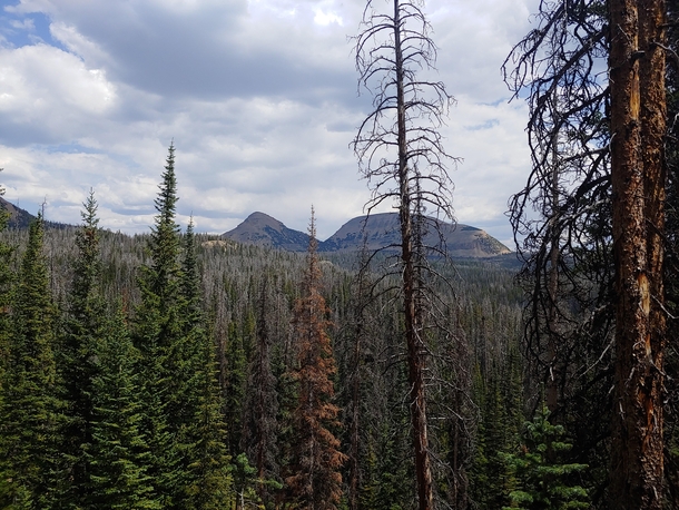 View from Trail to Wall Lake in the Uinta Mountains Utah   x 