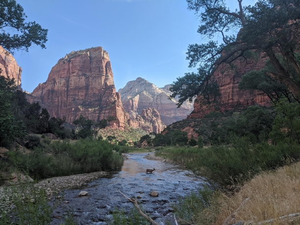 View of Angels Landing in Zion National Park Utah USA 