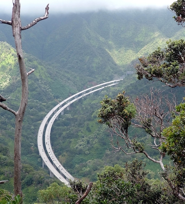 View of H from Keaiwa Trail Photo Colleeninhawaii 