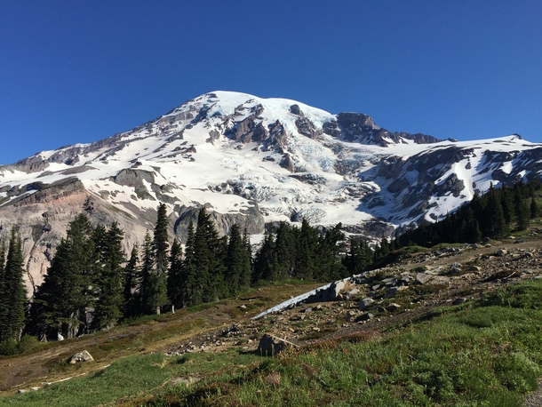 View of Mount Rainier from the Skyline Hiking Trail 