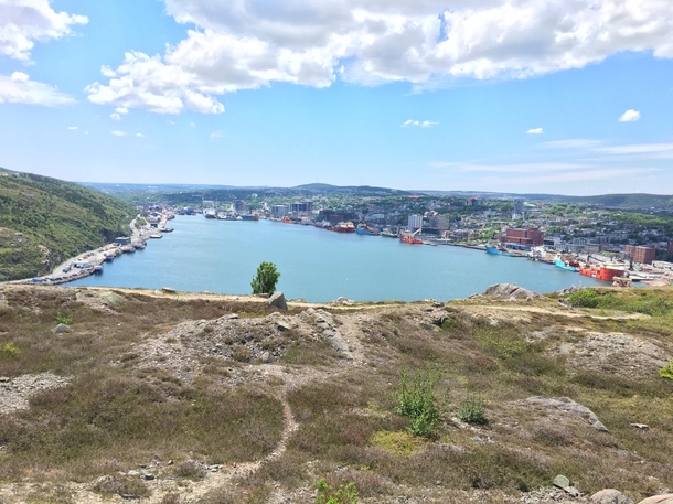 View of the entirety of downtown St Johns taken from signal hill trails 