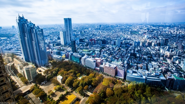 View of Tokyo from the Metropolitan Government Building 