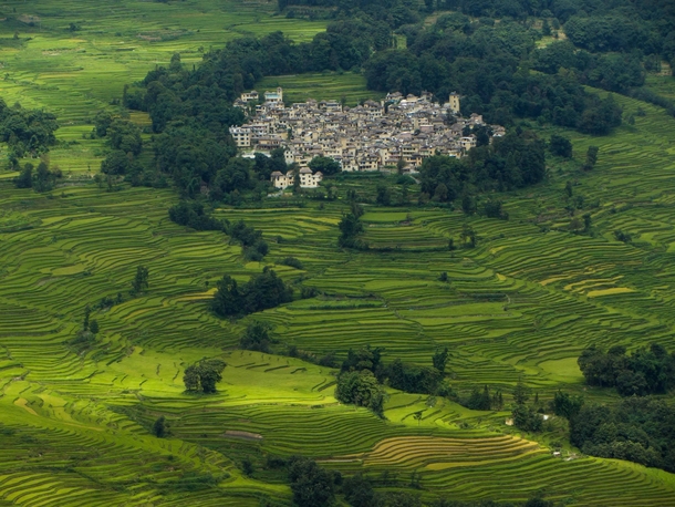 Village surrounded by rice terraces in Yunnan China 