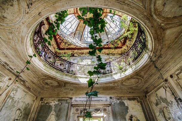 Vines creeping in through an old skylight in the Verrire de chateau 