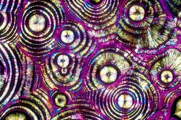 Vodka and tonic magnified
