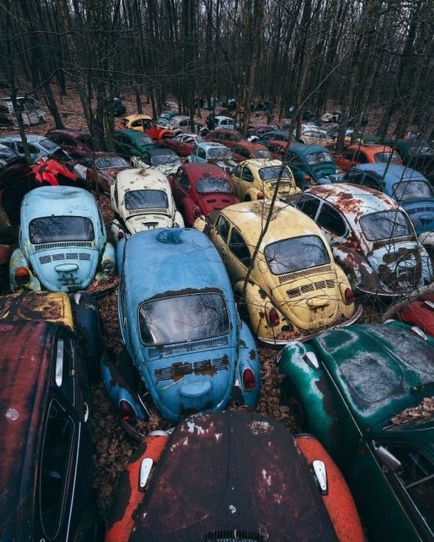 Volkswagen beetle graveyard