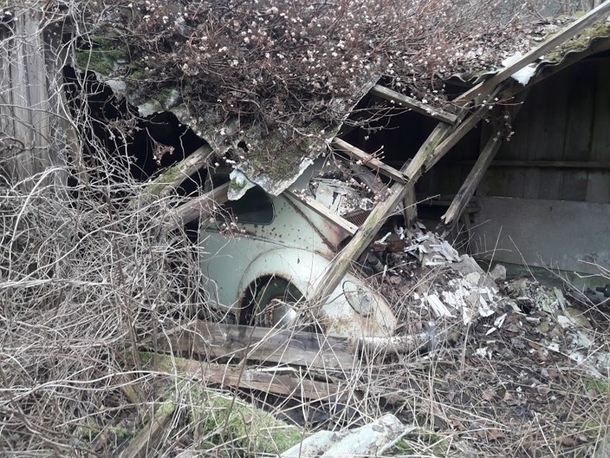 Volkswagen Beetle I found in a collapsed shed more pictures in comments