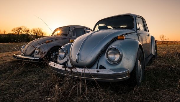 Volkswagens in Nebraska 