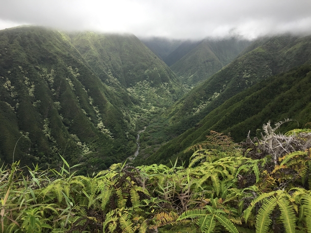Waihee Ridge Trail in Maui Hawaii 
