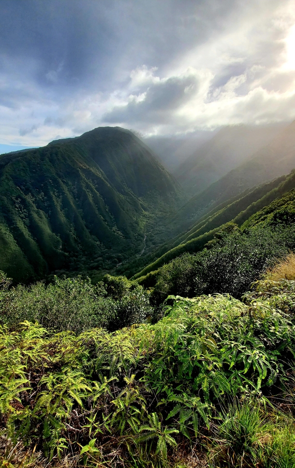 Waihee ridge trail Maui HI 