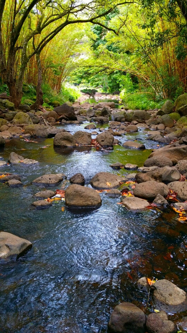 Waimea Valley Hawaii Photo by James Nielson 