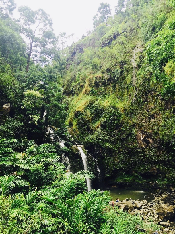 Waimoku Falls Maui Hi USA   x 