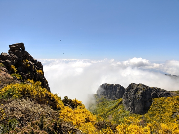 Walking on clouds - Pico do Arieiro Madeira 
