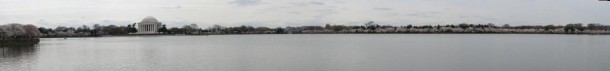 Washington DC tidal basin and Jefferson Memorial   x 