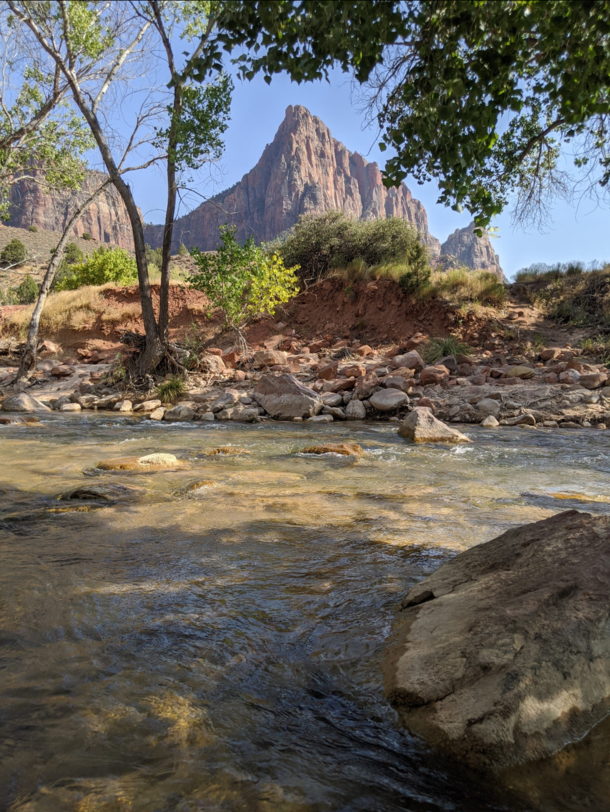 Watchman from the River Zion NP