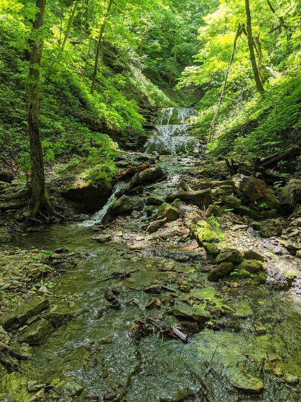 Waterfall in Big Springs Nature Preserve near Guttenberg IA 
