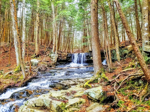 Waterfall in the early spring in the Pennsylvania woods - Loyalsock State Forest - Upper Dutchman Falls 