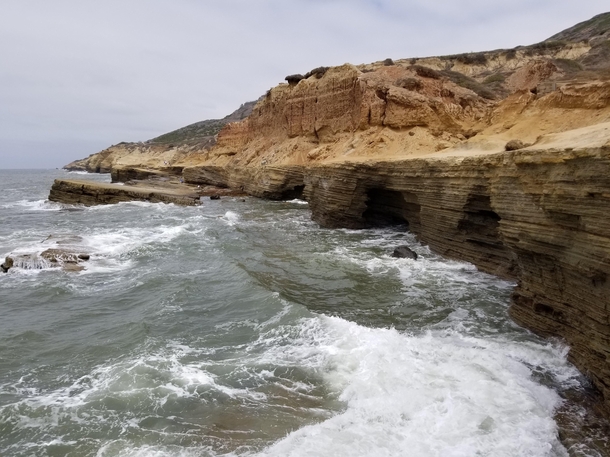 Wave-carved cliffs of Cabrillo National Monument CA 