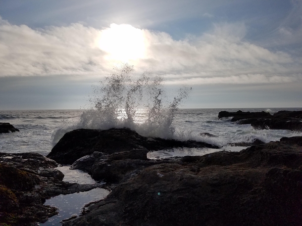 Wave crashing against the shore of the Oregon coast 