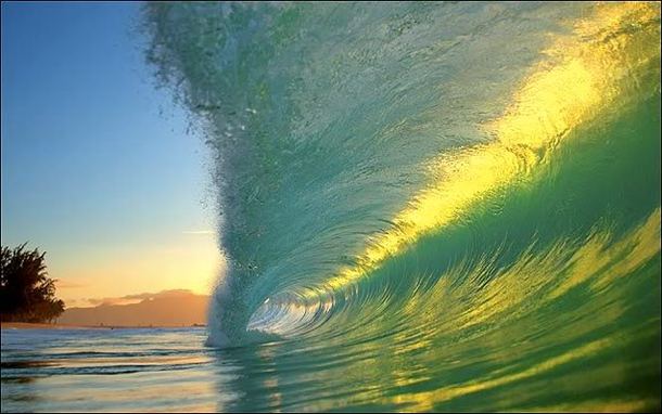 Wave in Hawaii 