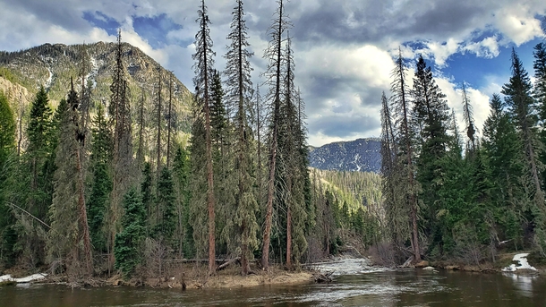 Weminuche Wilderness Colorado 