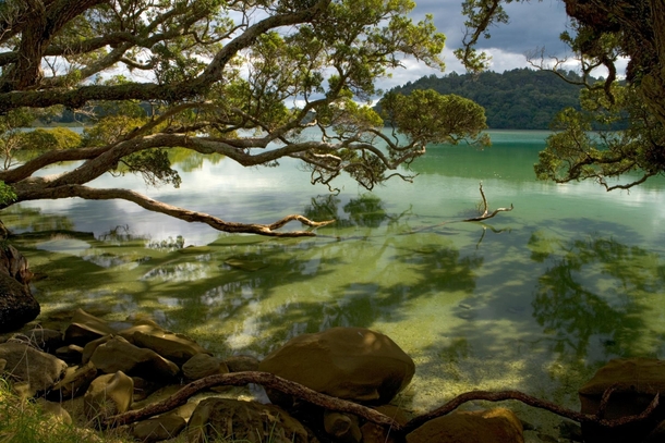 Wenderholm Regional Park outside Auckland NZ  by unknown National Geographic staff