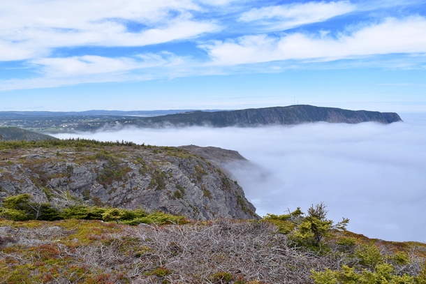 Went for a hike on a foggy day The view above the fog was incredible Newfoundland Canada  OC