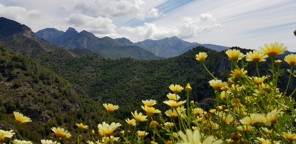 Went hiking for  hours just to take this photo in Spain 