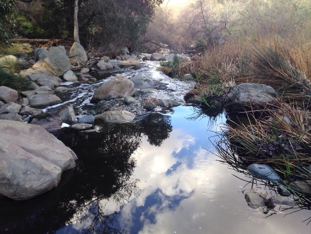 Went hiking the other day Didnt know I caught this reflection California 