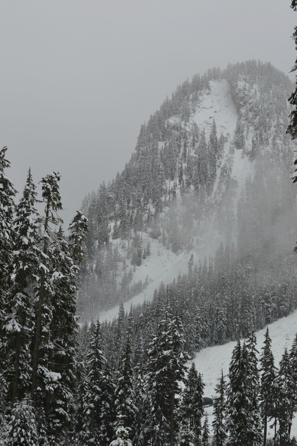 Went snowshoeing in Alpental Washington today