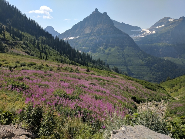Went to Glacier National Park this weekend  x