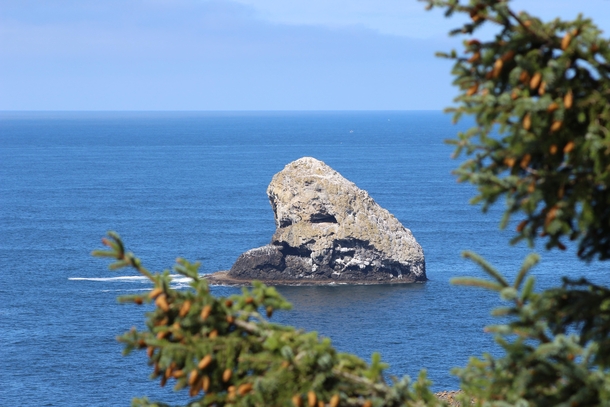 Went to the Coast today Cape Meares State Park OR 