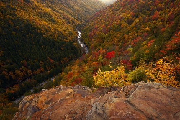 West Virginia Fall Colors near Blackwater Falls State Park 