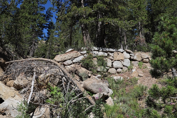 What Remains of the Sonora-Mono Wagon Road along SR- Stanislaus National Forest California 
