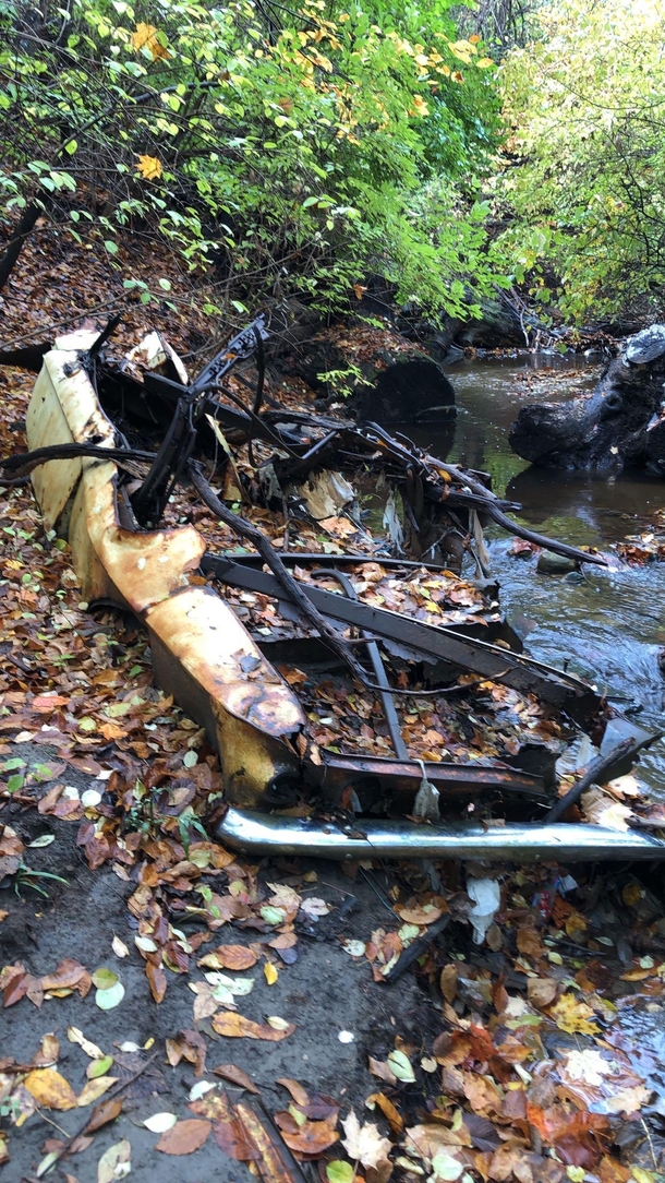 Whats left of an old car back in the woods by the park I work at