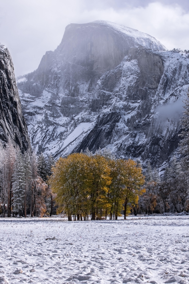 When Autumn meets Winter This years first snowfall in Yosemite National Park 