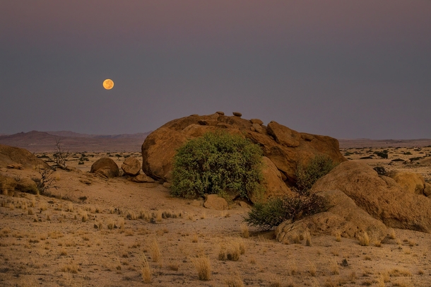 When Moonlight meets Daylight Taken just before sunrise by Anne Berger at Namibia 
