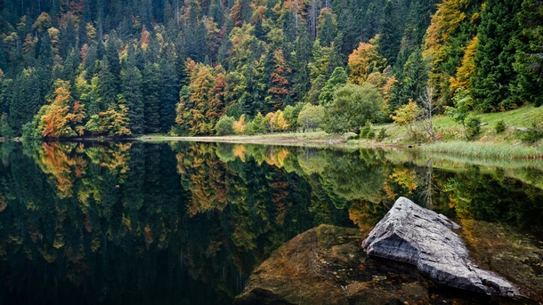 When Time Stands Still - Pure solitude within Black Forest Germany  photo by Andreas Wonisch