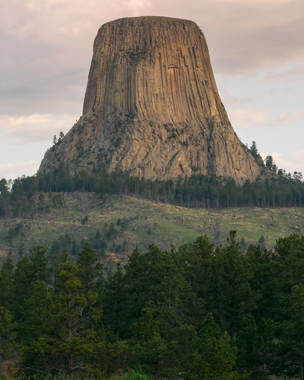 Where the bear lodges Devils Tower National Monument USA 