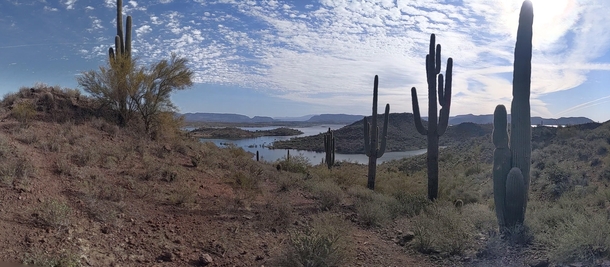 Where water meets the desert Arizona x