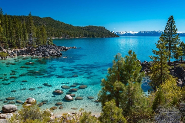 Who wants to take a late summer dip in the refreshing waters in Secret Cove Lake Tahoe CA 
