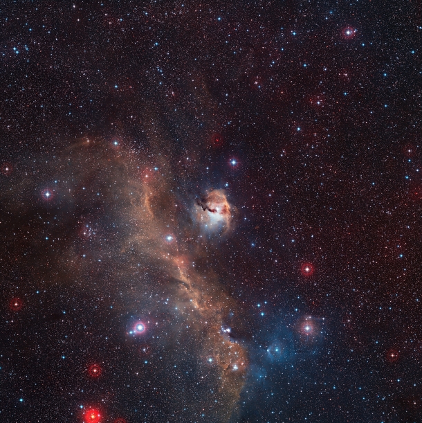 Wide-field view of the entire Seagull Nebula IC  
